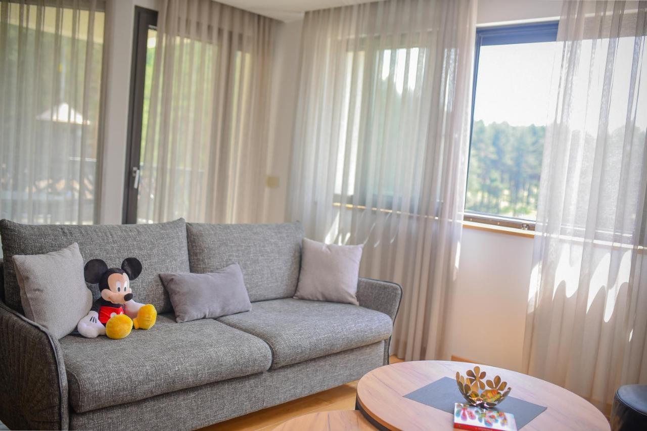 Vila Masa Zlatibor Kültér fotó